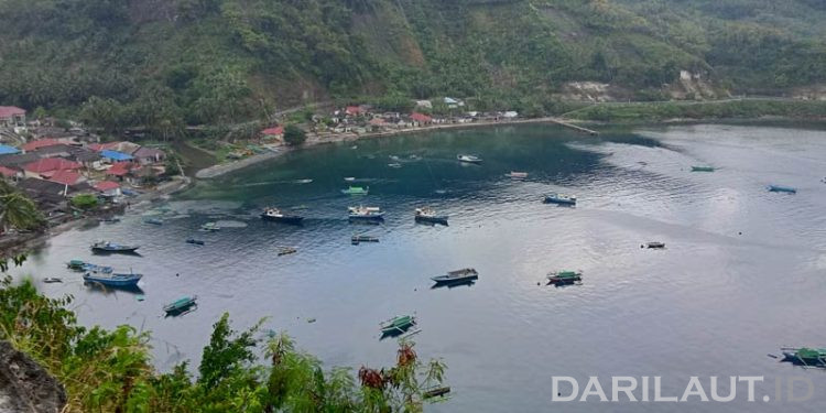 Paradoks Teluk Tomini, Wamen Stella: Memiliki Kekayaan Biodiversitas, Hadapi Tantangan Kemiskinan Signifikan