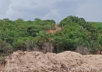 Bagaimana Runtuhnya Ekosistem Hutan Salah Satu Penyebab Banjir Bandang di Indonesia