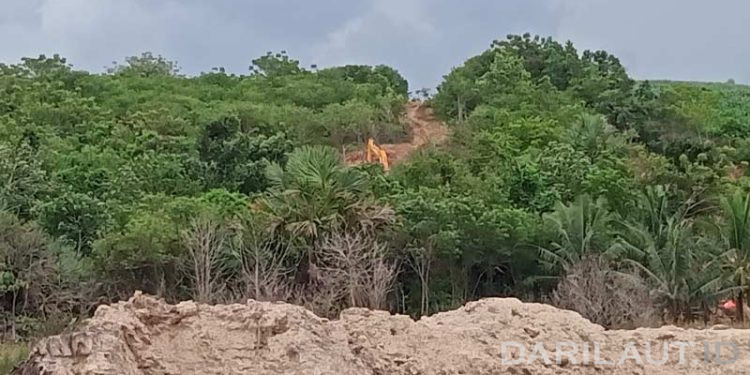 Bagaimana Runtuhnya Ekosistem Hutan Salah Satu Penyebab Banjir Bandang di Indonesia