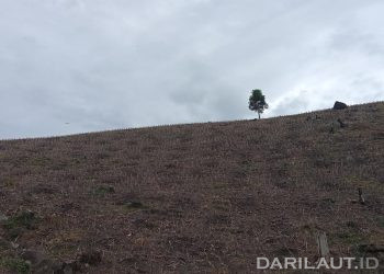 Banjir Bandang Sinyal Runtuhnya Ekosistem Hutan Sebagai Penyangga Kehidupan