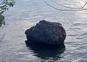 World Wetlands Day: Lahan Basah Ekosistem Paling Terancam, Hilang Tiga Kali Lebih Cepat Dari Hutan