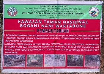 Balai Taman Nasional Bogani Nani Wartabone Menghentikan Pembukaan Jalan dalam Kawasan