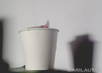 Perilaku Konsumsi Junk Food Anak SD di Kabupaten Gorontalo Pengaruh Teman Sebaya dan Iklan