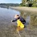 Peneliti UNG Temukan 10 Spesies Lamun di Pantai Taula’a Gorontalo Teluk Tomini