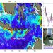 Fenomena Upwelling Berkah Bagi Nelayan Indonesia