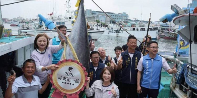 Tuna Sirip Biru Berat 190 kg Terjual Rp 1 Miliar Lebih di Pingtung Taiwan