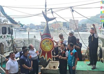 Tuna Sirip Biru Terjual Rp 3,9 Juta Per Kilogram di Yilan Taiwan