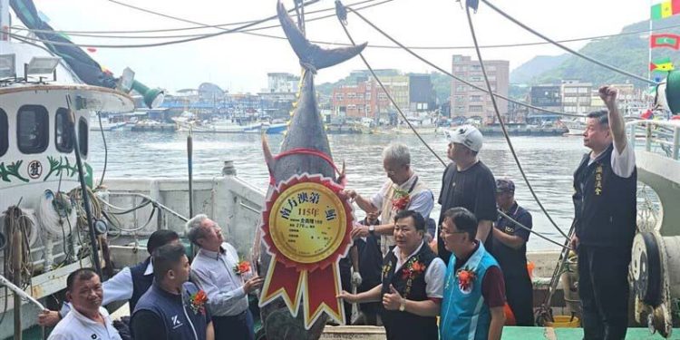 Tuna Sirip Biru Terjual Rp 3,9 Juta Per Kilogram di Yilan Taiwan