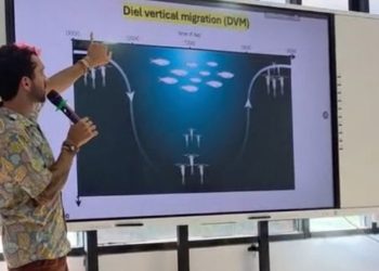 Ekosistem Laut Saling Terhubung
