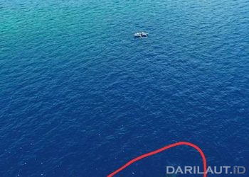 Paus Biru Kembali Melintas di Perairan Botubarani Gorontalo