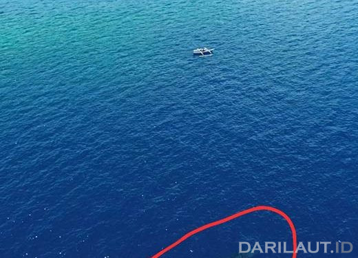 Paus Biru Kembali Melintas di Perairan Botubarani Gorontalo