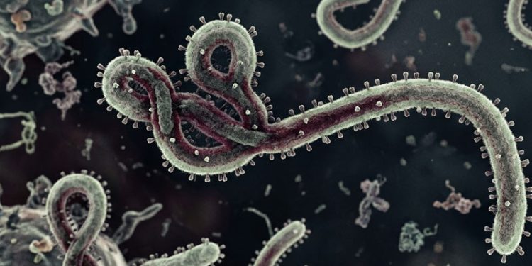 Kementerian Kesehatan Tingkatkan Pengawasan Kasus Ebola di Indonesia