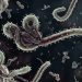 Kementerian Kesehatan Tingkatkan Pengawasan Kasus Ebola di Indonesia