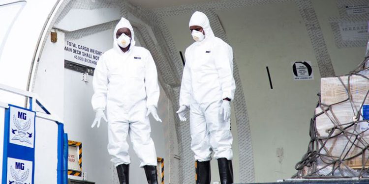WHO Menyerukan Gencatan Senjata di Tengah Wabah Ebola di Kongo