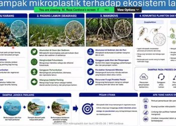 Mikroplastik Membahayakan Ekosistem Laut Hingga Rantai Makanan Manusia