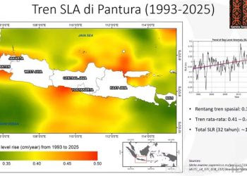 Krisis di Pantura Jawa Diperparah Kenaikan Muka Air Laut dan Penurunan Tanah