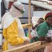 WHO Umumkan Keadaan Darurat Kesehatan Wabah Virus Ebola di Afrika Tengah