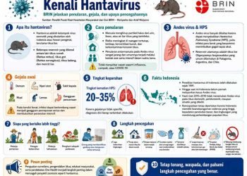 Mengenal Hantavirus, Kelompok Virus Zoonotik yang Ditularkan Hewan Pengerat Seperti Tikus Liar