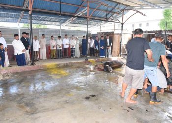 UNG Menyembelih 21 Hewan Kurban