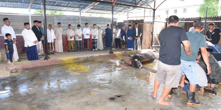 UNG Menyembelih 21 Hewan Kurban