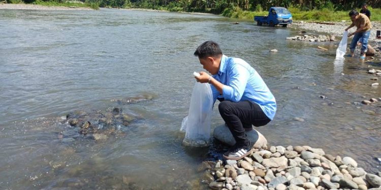60 Ribu Benih Ikan Dilepas di Sungai Poigar dan Mondaton Kabupaten Bolaang Mongondow