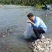 60 Ribu Benih Ikan Dilepas di Sungai Poigar dan Mondaton Kabupaten Bolaang Mongondow