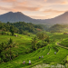 Mengapa Bali Masih Menjadi Salah Satu Tempat Wisata Terpopuler di Dunia