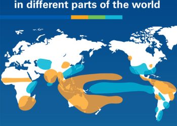 Tahun Ini Potensi El Niño Kuat
