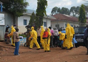 Wabah Ebola Spesies Bundibugyo Menyebar Cepat, 19 Pasien Sembuh