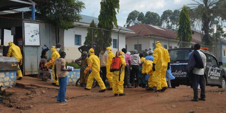 Wabah Ebola Spesies Bundibugyo Menyebar Cepat, 19 Pasien Sembuh