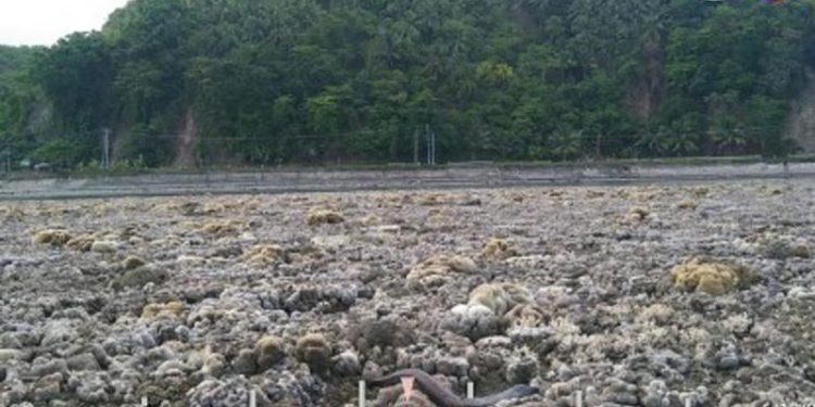 Dasar Laut yang Terangkat Akibat Gempa Sarangani M7,8 di Mindanao Akan Dijadikan Monumen Geologi
