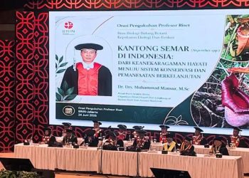 Tiga Spesies Baru Kantong Semar di Sulawesi dan Papua Memperkaya Daftar Flora Indonesia