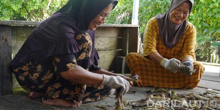 Perempuan Pesisir Berau Olah Limbah Kepala Udang Menjadi Produk Makanan Bernilai Ekonomi