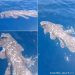 Nelayan Pulau Siladen Temukan Ikan Purba Coelacanth Panjang Lebih Dari 1 Meter