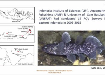 Riset Terbaru Temuan 18 Individu Ikan Purba Raja Laut Coelacanth di Pulau Talise Sulawesi Utara