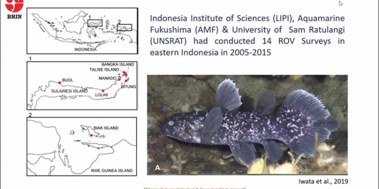 Riset Terbaru Temuan 18 Individu Ikan Purba Raja Laut Coelacanth di Pulau Talise Sulawesi Utara