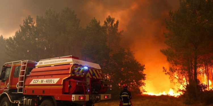 Spanyol dan Prancis Berjuang Melawan Kobaran Api Besar, Kebakaran Hutan Meningkat di Eropa