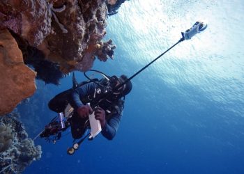 Kawasan Konservasi Perairan Maluku Capai 4,3 Juta Hektare