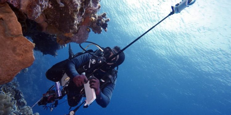 Kawasan Konservasi Perairan Maluku Capai 4,3 Juta Hektare