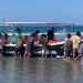 Kapal Cepat yang Ditumpangi 11 Wisatawan Eropa Masuk Air, Patah, Miring dan Tenggelam di Teluk Tomini