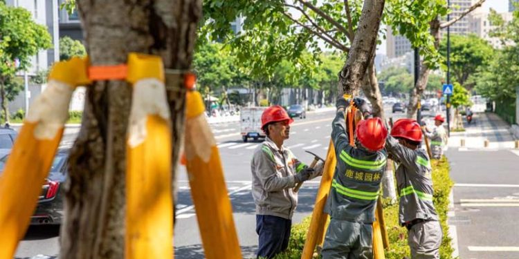 Topan Bavi Mendekat, Cina Timur Mulai Evakuasi Warga