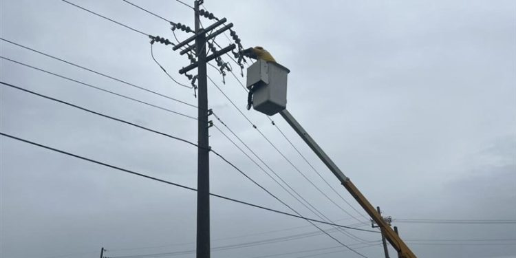 Topan Bavi Menghantam Taiwan, 87 orang terluka dan 14.000 Dievakuasi, 1.456 Pohon Tumbang