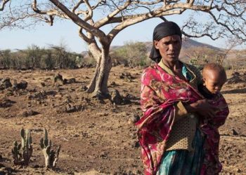 El Niño Menguat, 49 Juta Orang Akan Mengalami Kelaparan Akut, 225 Juta Rawan Pangan