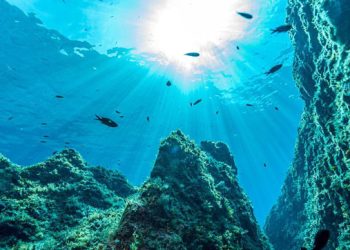 Odyssey Laut Mediterania, Gudang Harta karun ekologis yang Kian Tertekan