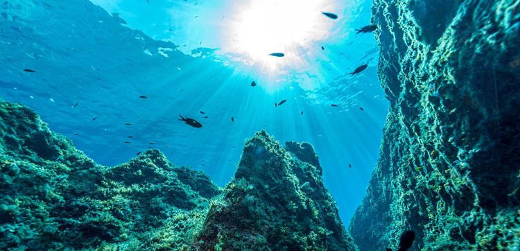 Odyssey Laut Mediterania, Gudang Harta karun ekologis yang Kian Tertekan