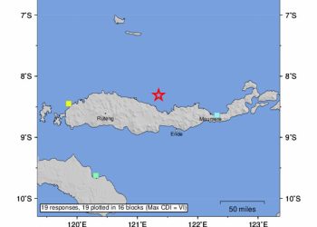 Gempa Dahsyat NTT Akibat Sesar Naik, USGS: 1,5 Juta Orang Diperkirakan Merasakan Guncangan Kuat