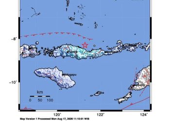 Gempa Susulan M 5 Masih Terus Terjadi di Nusa Tenggara Timur