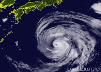 Typhoon Dolphin Maintains Strength South of Tokyo, Brings 15-Meter Waves