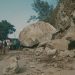 Gempa Dahsyat NTT Akibat Aktivitas Sesar Naik Busur Belakang Flores, BMKG Catat 235 Susulan