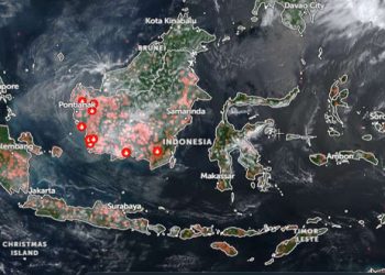 Titik Api Kebakaran Hutan dan Lahan Meluas di Sejumlah Wilayah Indonesia